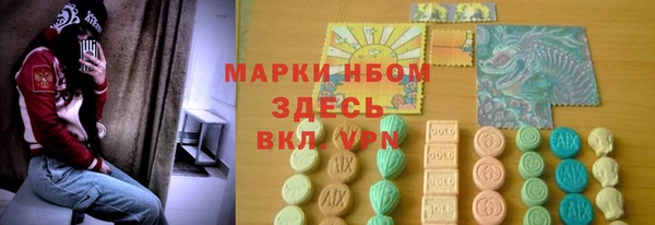 дмт Болотное