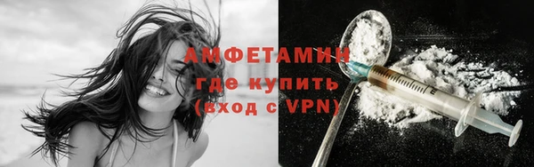 дмт Болотное