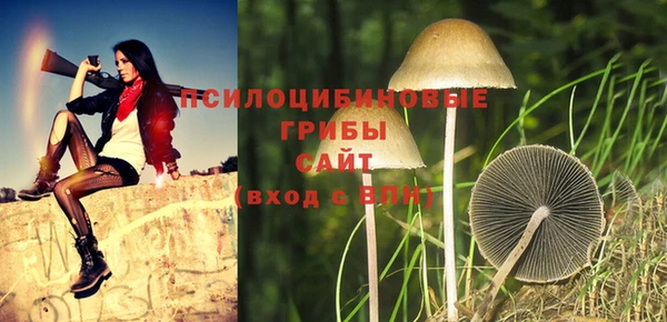 гидропоника Приозерск