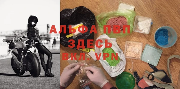 PSILOCYBIN Болхов