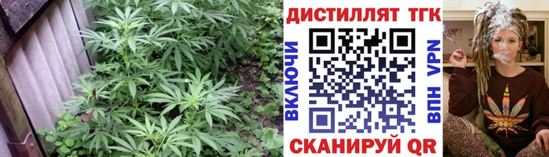 ТГК концентрат  Купить закладки  Звенигово 